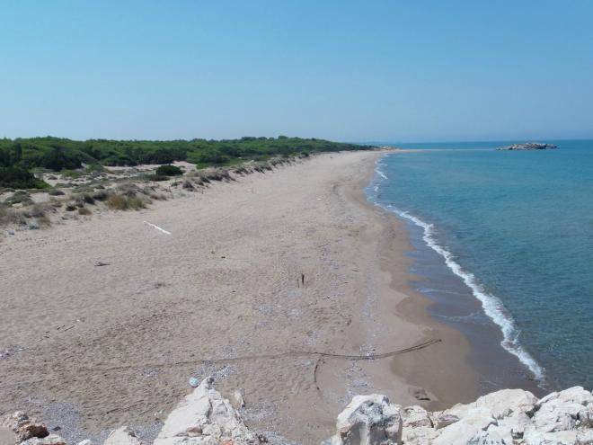 Σε εξέλιξη η ωοτοκία της θαλάσσιας χελώνας καρέτα-καρέτα στο Εθνικό Πάρκο Υγροτόπων Κοτυχίου Στροφυλιάς - Φωτογραφία 3