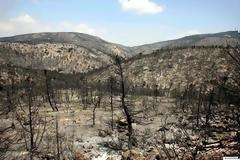 Δεν θα πιστεύετε πως είναι η πάρνηθα σήμερα, δέκα χρόνια μετά την καταστροφή
