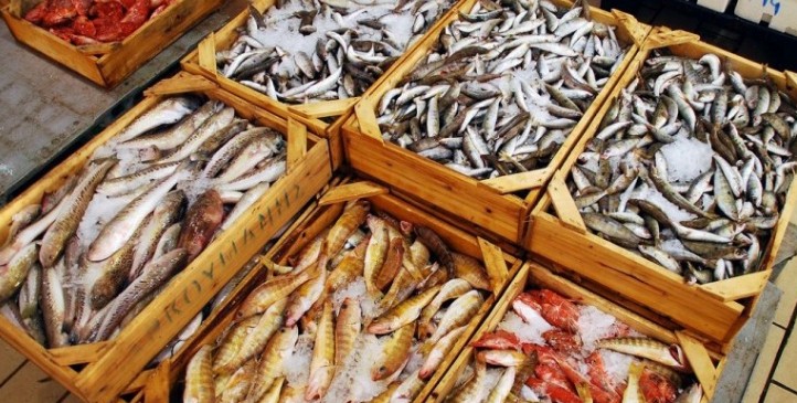 Το 10% των αλιευμάτων πετιούνται πίσω στη θάλασσα - Φωτογραφία 1