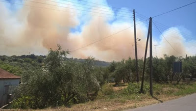Μεγάλη πυρκαγιά απειλεί σπίτια στην Κορώνη - Φωτογραφία 1