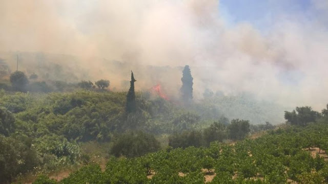 Μεγάλη πυρκαγιά απειλεί σπίτια στην Κορώνη - Φωτογραφία 2