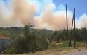 Μεγάλη πυρκαγιά απειλεί σπίτια στην Κορώνη - Φωτογραφία 1