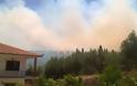 Μεγάλη πυρκαγιά απειλεί σπίτια στην Κορώνη - Φωτογραφία 3