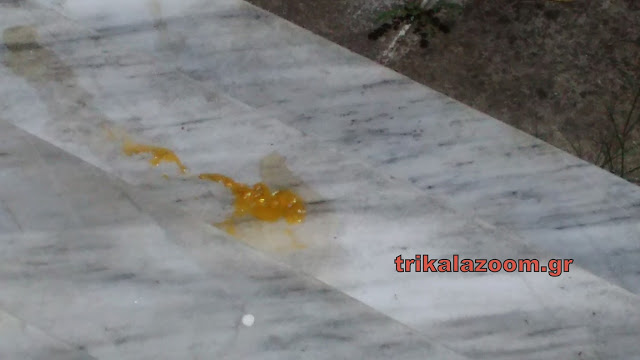 Κι όμως - Με τον καύσωνα έγινε ομελέτα το αυγό στα Τρίκαλα... [photo] - Φωτογραφία 2