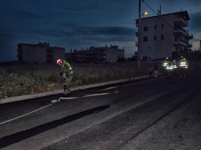 ΛΕΦΕΔ παντός καιρού. Άσκηση ΠΥΡΙΝΟΣ ΠΕΛΕΚΥΣ 2017Α - Φωτογραφία 19