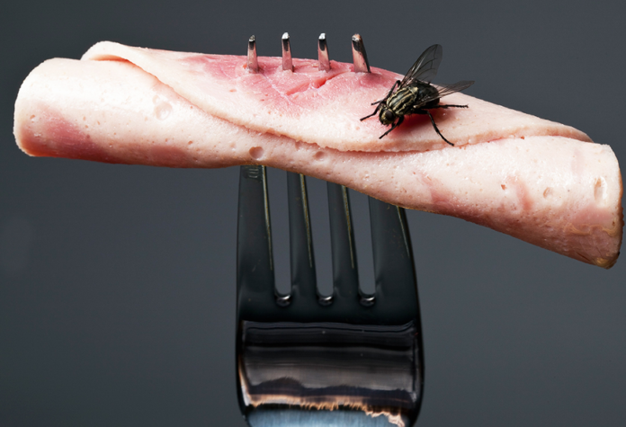 ι μπορεί να συμβεί στο φαγητό σας αν ακουμπήσει μία μύγα πάνω; - Φωτογραφία 1