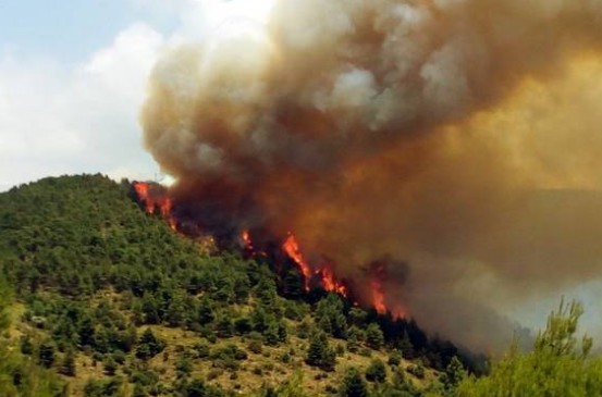 Σε πύρινο κλοιό όλη η χώρα - Φωτιές σαρώνουν διάφορες περιοχές της Ελλάδας - Φωτογραφία 1