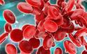 Αναγκαία η κεντρικοποίηση των Συστημάτων Αιμοδοσίας