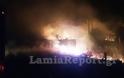 Λαμία: Έσπειρε φωτιές το τραίνο τα ξημερώματα [photos]