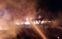 Λαμία: Έσπειρε φωτιές το τραίνο τα ξημερώματα [photos] - Φωτογραφία 2