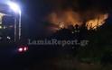 Λαμία: Έσπειρε φωτιές το τραίνο τα ξημερώματα [photos] - Φωτογραφία 3