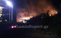Λαμία: Έσπειρε φωτιές το τραίνο τα ξημερώματα [photos] - Φωτογραφία 4