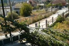 Κλαδιά και καλώδια της ΔΕΗ προσγειώθηκαν σε αυλή σπιτιού την ώρα που έπαιζαν παιδάκια!