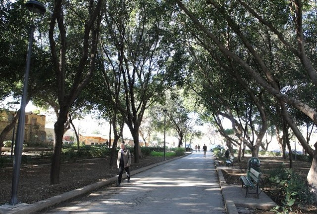 Ηράκλειο: Στο «πράσινο top-10» της WWF το Πάρκο Γεωργιάδη - Φωτογραφία 3