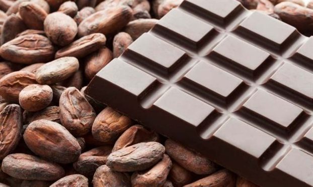 Σοκολάτα και κακάο αποτρέπουν την εξασθένηση της μνήμης - Φωτογραφία 1
