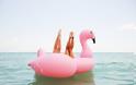 Πώς ξεκίνησε αυτή η τρέλα με τα φουσκωτά ροζ φλαμίνγκος που έχουν πνίξει όλες τις ελληνικές παραλίες και πισίνες - Φωτογραφία 1