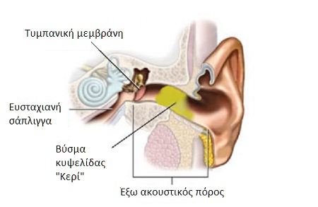 Κερί στο αυτί: Πότε πρέπει να πάτε στον ΩΡΛ για καθαρισμό - Φωτογραφία 2