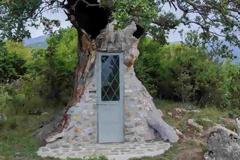 Το δέντρο ...που μετατράπηκε σε εκκλησιά του Άγιου Παΐσιου!