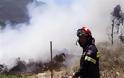 Αίγιο:«Εμπρησμός» η φωτιά στο ΣΜΑ με 1.000 μπάλες στάχτη
