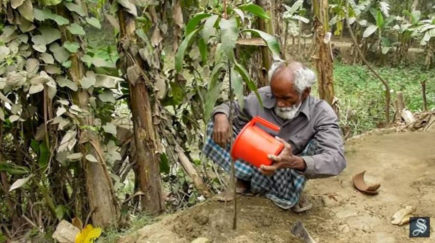 Φύτεψε μόνος του ένα δάσος! - Φωτογραφία 9