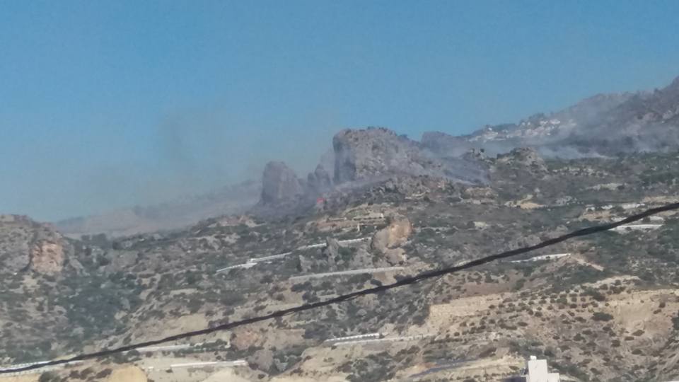 Στη μάχη με τις φλόγες και καναντέρ – Μαίνεται η φωτιά στην Ιεράπετρα - Φωτογραφία 2