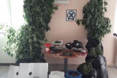 Βοιωτία: Ναρκωτικά και όπλα - Οι φωτογραφίες που δόθηκαν στη δημοσιότητα μετά τις 4 συλλήψεις