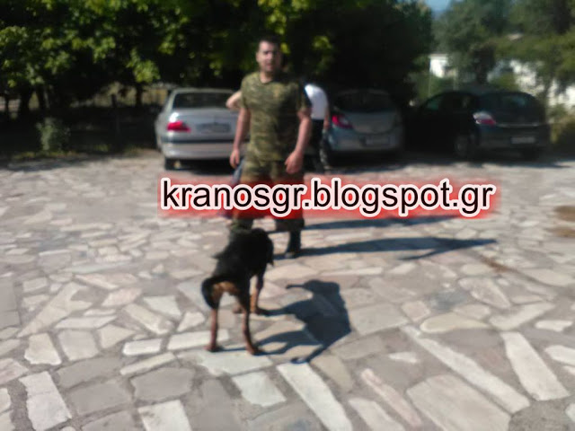 Απεγκλωβισμός σκύλου από στελέχη του Στρατού Ξηράς στη Λαμία - Φωτογραφία 2