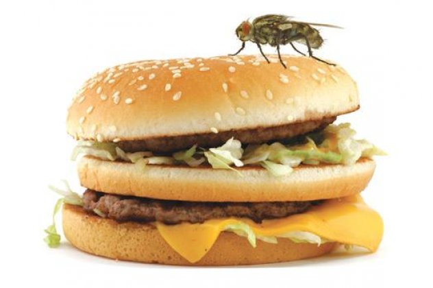 ΠΡΟΣΟΧΗ! Τι μπορεί να συμβεί στο φαγητό σας αν ακουμπήσει μία μύγα πάνω; - Φωτογραφία 1