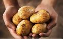Αν δείτε αυτό στις πατάτες, πρέπει να τις πετάξετε – Κίνδυνος νευρολογικού προβλήματος