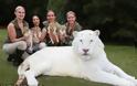 Ένα λευκό λιοντάρι και μία λευκή τίγρης έκαναν μωρά! Δεν φαντάζεστε τι έβγαλαν... [photos] - Φωτογραφία 4