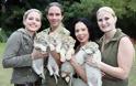 Ένα λευκό λιοντάρι και μία λευκή τίγρης έκαναν μωρά! Δεν φαντάζεστε τι έβγαλαν... [photos] - Φωτογραφία 6