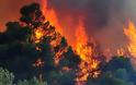 Ολονύκτιος πύρινος εφιάλτης στις Ορθωνιές Ζακύνθου - Εκτός ελέγχου η μεγάλη φωτιά