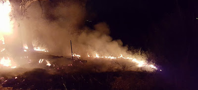 Καταστροφή στη Ζάκυνθο – Εκτός ελέγχου η μεγάλη πυρκαγιά - Φωτογραφία 1