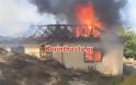 Κόλαση φωτιάς στο Ζευγολατιό-3 πυροσβέστες τραυματίες - Φωτογραφία 7