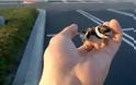 Video: Άντρας σώζει ένα μικρό πουλάκι killdeer- Δε μπορείτε να φανταστείτε τι έγινε μετά