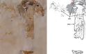 Ανακαλύφθηκε το αρχαιότερο απολίθωμα μανιταριού ηλικίας 115 εκατ. ετών
