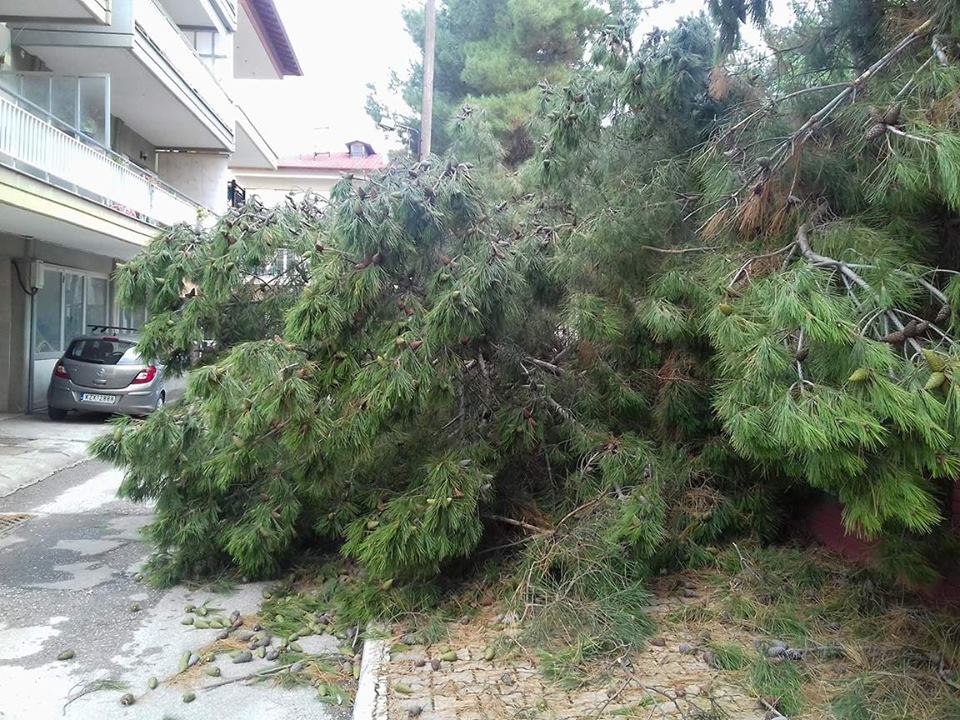 Η Μέδουσα σαρώνει την Ελλάδα.Εικόνες που θυμίζουν χειμώνα - Φωτογραφία 11