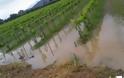 Σαρωτικό το πέρασμα της καταιγίδας στη δυτική Αχαΐα - Ολοκληρωτική καταστροφή στις καλλιέργειες - Πλημμύρισαν και κόπηκαν δρόμοι [photos]
