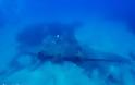 Ικαρία: Ο βυθός της θάλασσας έκρυβε ένα αεροπλάνο θρυλικό - Η άγνωστη ιστορία του - Μοναδικές εικόνες που ταξιδεύουν στον κόσμο  [pgotos+video] - Φωτογραφία 9