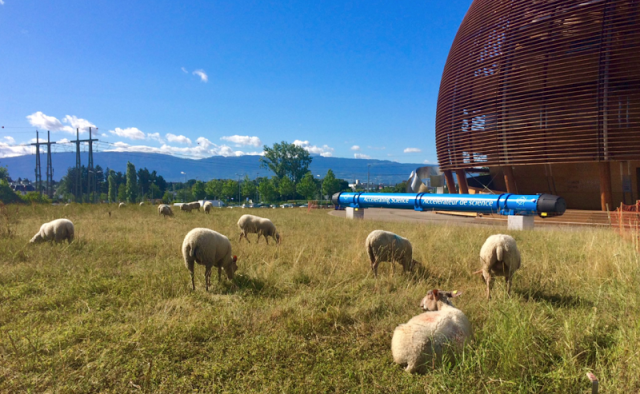 Μετρώντας προβατάκια στο CERN - Φωτογραφία 1
