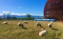 Μετρώντας προβατάκια στο CERN - Φωτογραφία 1