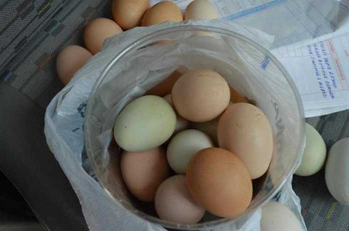 Πώς θα καταλάβετε πότε τα αυγά είναι φρέσκα - Φωτογραφία 1