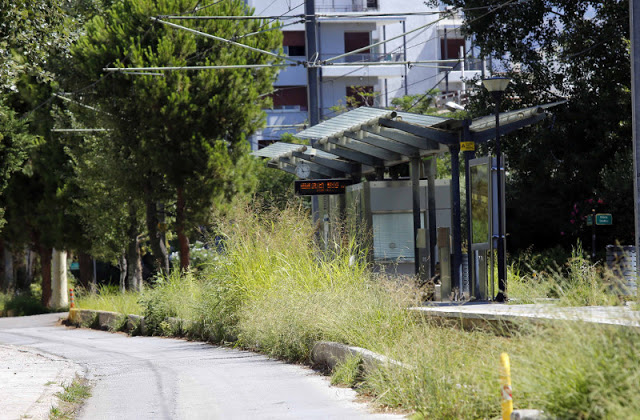 ΝΤΡΟΠΗ... τραγική εικόνα στη Γλυφάδα....ΜΑΓΚΕΣ  ΕΡΧΟΝΤΑΙ  ΤΑ  ΦΙΔΙΑ  ΓΙΑ  ΔΡΟΣΙΑ - Φωτογραφία 4