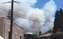 Σπέτσες: Ανεξέλεγκτη φωτιά καίει δάσος με διάσπαρτες πολλές εξοχικές κατοικίες