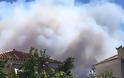 Σπέτσες: Ανεξέλεγκτη φωτιά καίει δάσος με διάσπαρτες πολλές εξοχικές κατοικίες - Φωτογραφία 2