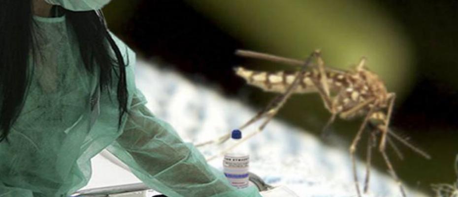 Συναγερμός για τον ιό του Δυτικού Νείλου μετά τους δύο νεκρούς στην Αργολίδα,...ΝΕΟ ΚΡΟΥΣΜΑ  με εγκεφαλίτιδα - Φωτογραφία 1