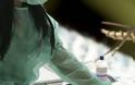 Συναγερμός για τον ιό του Δυτικού Νείλου μετά τους δύο νεκρούς στην Αργολίδα,...ΝΕΟ ΚΡΟΥΣΜΑ  με εγκεφαλίτιδα