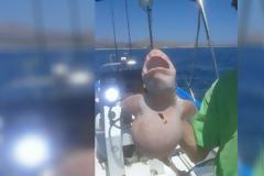 Ψάρεψαν ένα «Τέρας» από τα βάθη της θάλασσας. Μόλις οι επιστήμονες κατάλαβαν τι είναι… πάγωσαν!