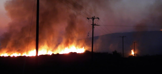Καταστροφή – 15.000 στρέμματα δάσους έχουν καεί στα Κύθηρα! - Φωτογραφία 2