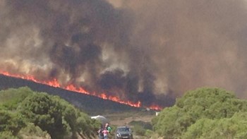 Καταστροφή – 15.000 στρέμματα δάσους έχουν καεί στα Κύθηρα! - Φωτογραφία 3